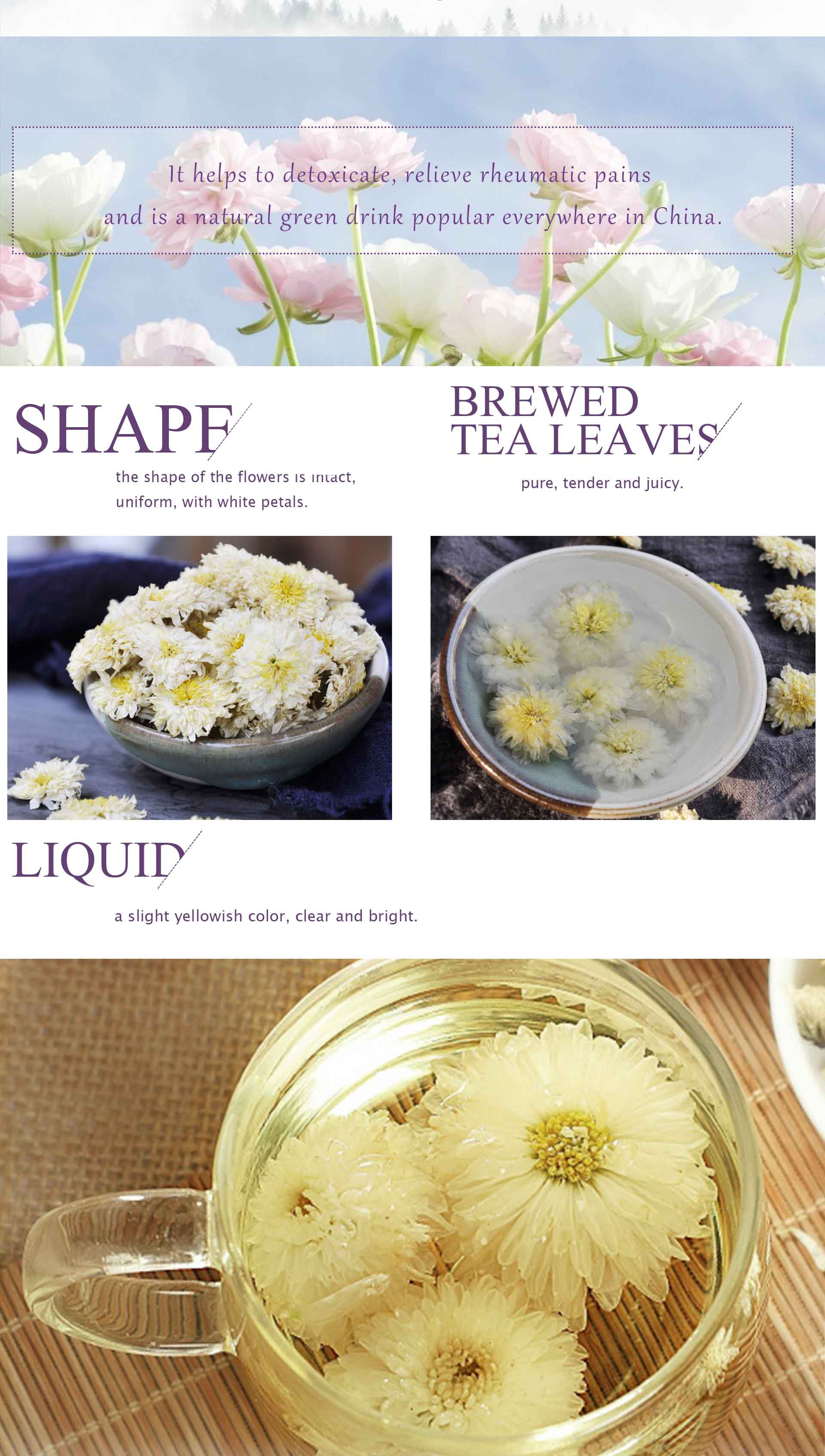 Chrysanthemum Tea
